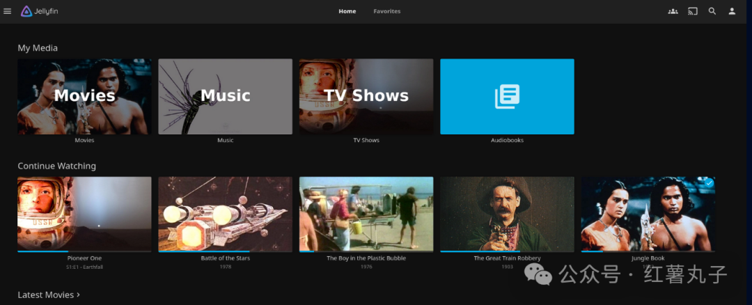 Nas上部署一款媒体服务器：jellyfin并配置硬件加速解码-桃花坞里桃花庵