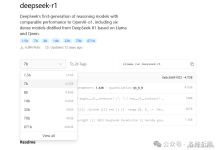 群晖上私有化部署DeepSeek-R1-桃花坞里桃花庵