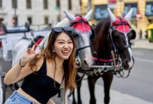 用完这个AI工具，PS真的不想学了！即梦AI-桃花坞里桃花庵